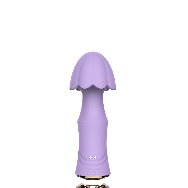Vibrator XTD-82